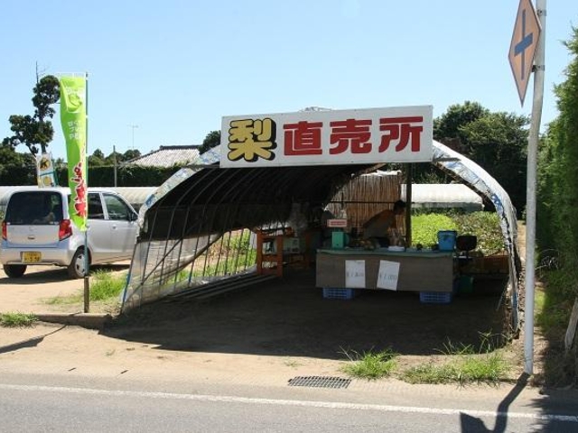 鈴木果樹園の写真1