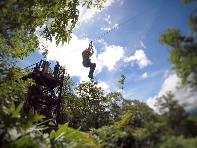 ひるがのピクニックガーデン