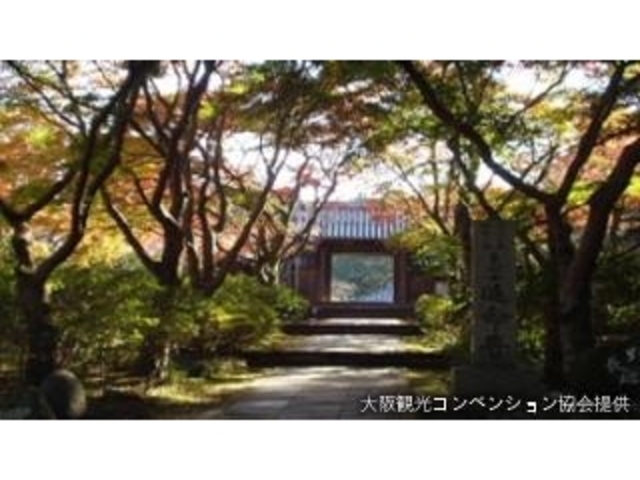 延命寺・観心寺・天野山金剛寺 もみじの写真1