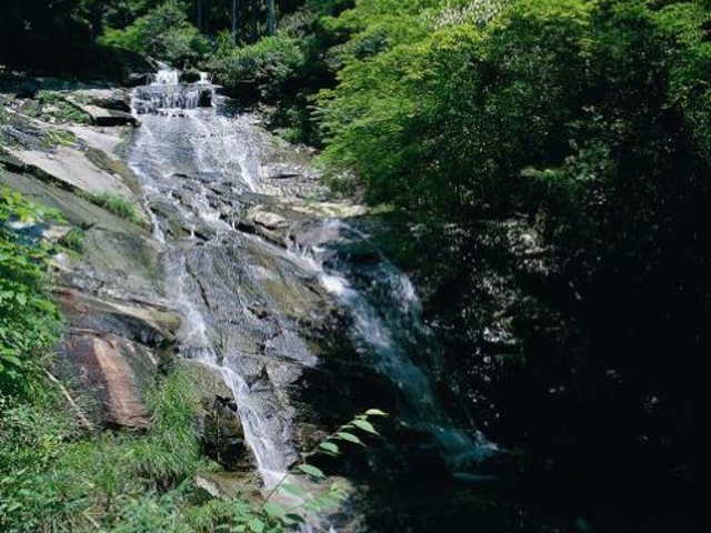 三谷渓谷の写真1