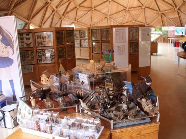 ひょうご環境体験館の写真1