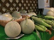 太田農園の写真2