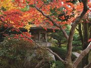 樂翠亭美術館の写真2