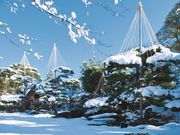 樂翠亭美術館の写真3