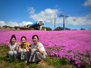 ひるがのピクニックガーデンの写真3