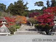 延命寺・観心寺・天野山金剛寺 もみじの写真2