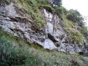 竜ヶ城磨崖一千梵字仏蹟〔市指定史跡〕の写真2