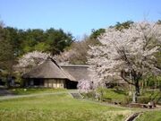 【みちのく民俗村】桜の写真2