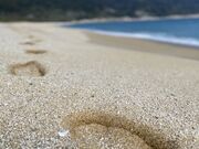 辺塚海岸の写真2