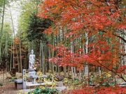 道隆寺跡の写真2