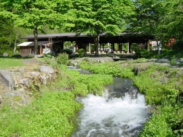 木曽駒森林公園 釣り堀の写真1