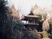 天陽山盛泉寺の写真1