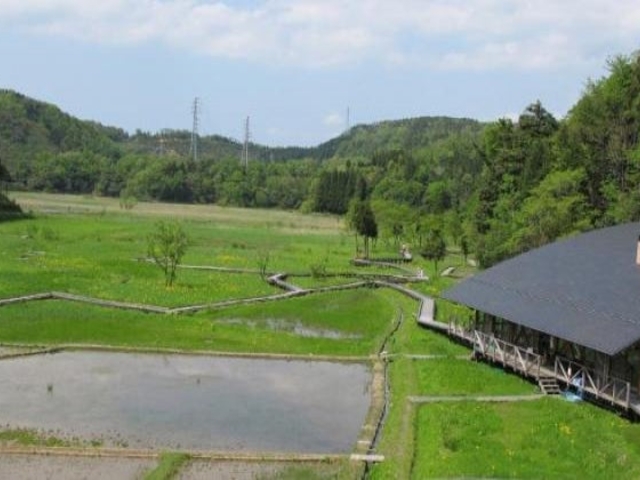 中池見湿地の写真1