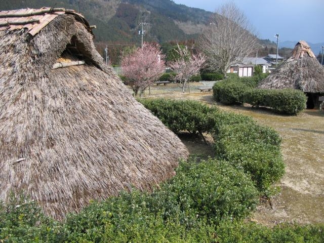 樋ノ谷遺跡の写真1