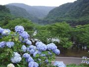 正善寺ダムの写真2