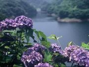 正善寺ダムの写真3