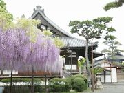 藤井寺まちかど情報館 ゆめぷらざの写真2