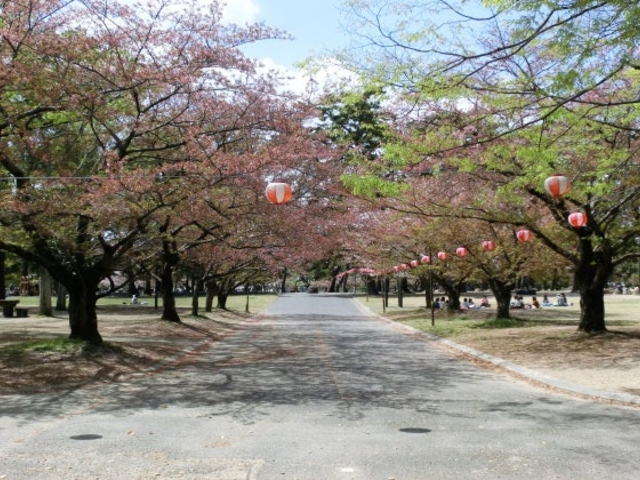 酒津公園