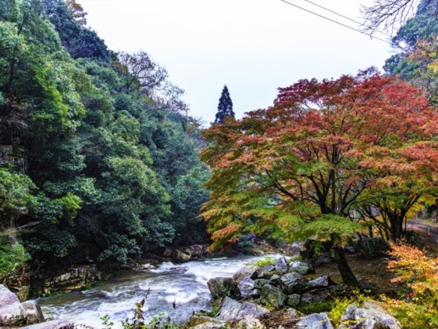豪渓の写真1