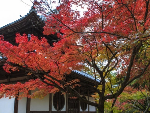 宝福寺