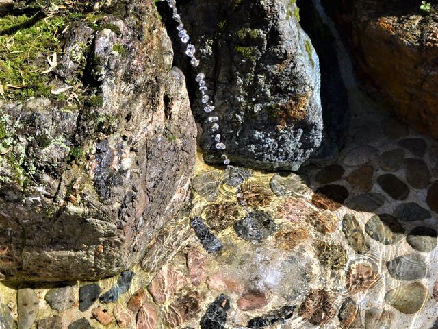 夏日の極上水の写真1