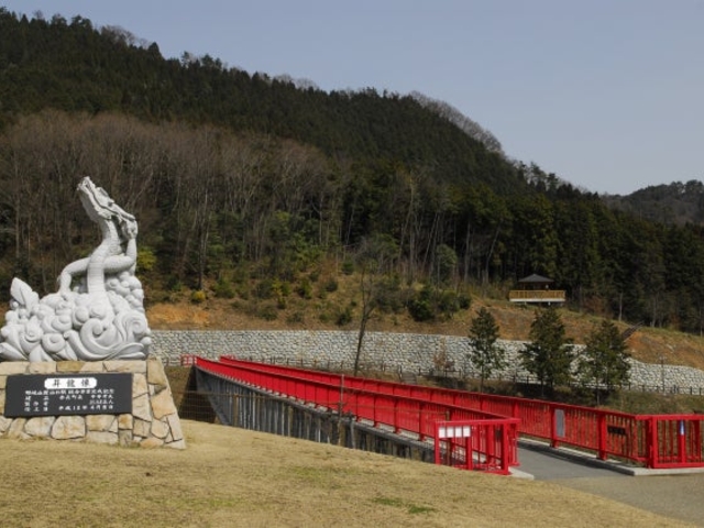山野草公園の写真1