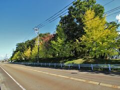 北公園の写真1