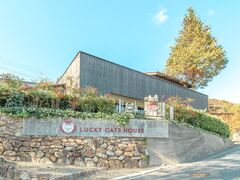 招き猫美術館の写真1