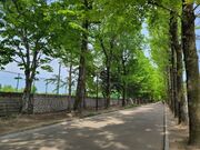 岡山県総合グラウンドの写真2