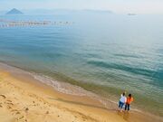 渋川海水浴場(渋川海岸)の写真2