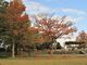 北公園の写真4