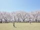 岡山市半田山植物園の写真4