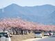 児島湖花回廊の写真2