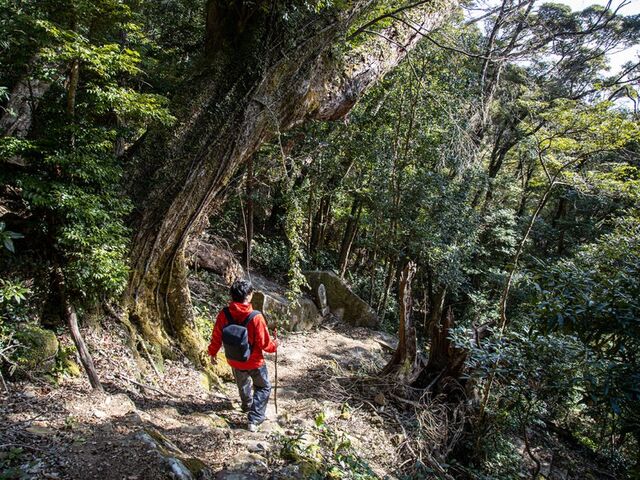 鈴ヶ峰
