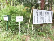 松川村馬羅尾高原キャンプ場の写真2