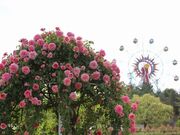 蜂ヶ峯総合公園の写真3