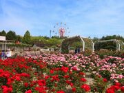 蜂ヶ峯総合公園の写真4