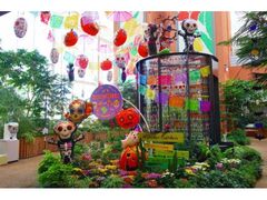 季節展示「秋の庭」(ハロウィン)の写真1