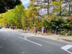軽井沢紅葉まつりの写真1