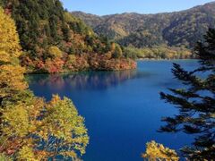志賀高原の紅葉の写真1
