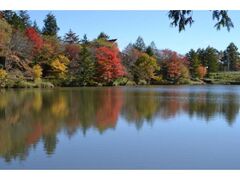 茶臼山高原の紅葉まつりの写真1