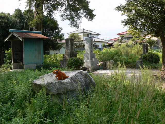 肥前国分寺跡