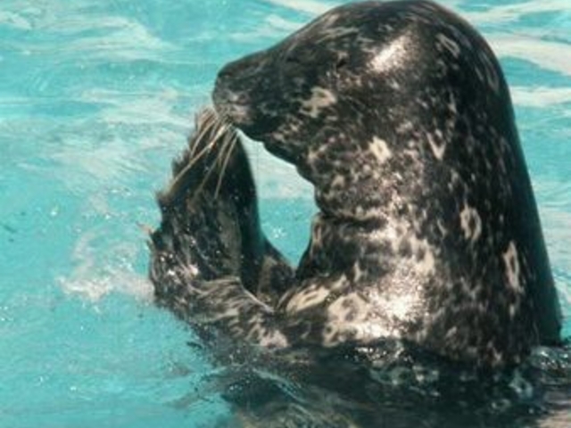 室蘭民報みんなの水族館(市立室蘭水族館)