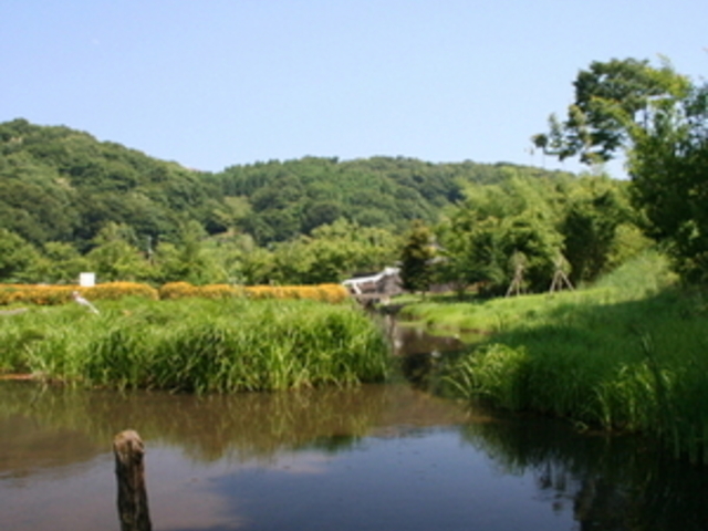 厳島湿生公園