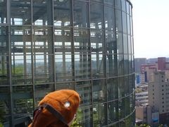 てえすけパパさんのアクロス福岡への投稿写真1