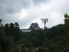 金亀公園の写真1