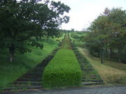 ミカさんの栗野岳の投稿写真1