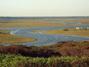 しんちゃんさんの霧多布湿原の投稿写真1