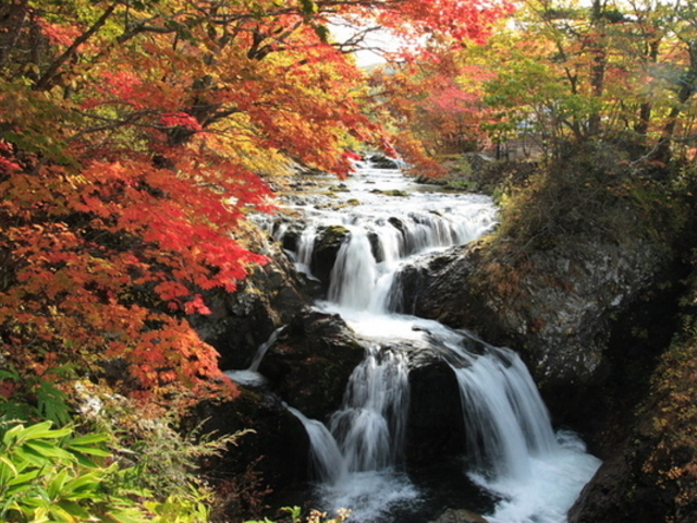 T-ORIさんの三階滝の投稿写真1