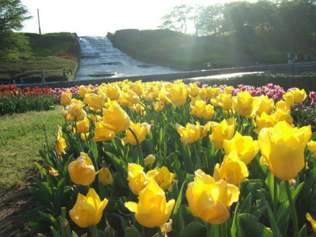 国営みちのく杜の湖畔公園